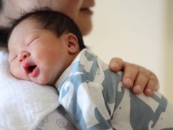 体外受精 IVF-ET